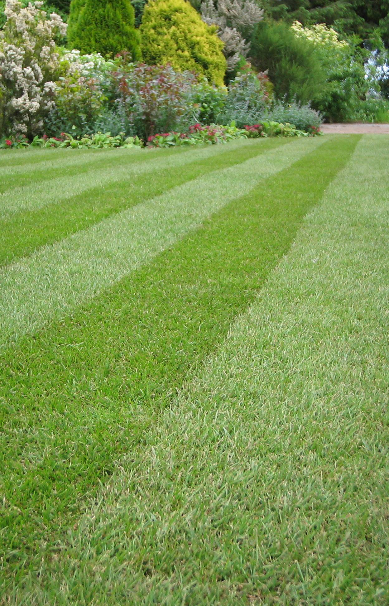 Lawns in Order | Lawn and Property Maintenance
