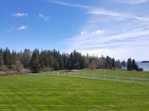 Beautifully mown field by Lawns in Order