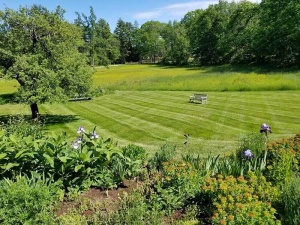 Lawns in Order offers Full Service Lawn Care Maintenance