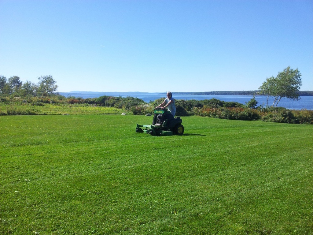 Happy worker mowing a lawn