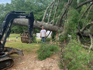 Tree removal by Lawns in Order