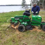 Stump grinding