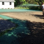 Hydroseeding